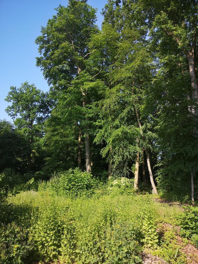 Gaestehaus Maria Rast Suderburg Buitenkant foto