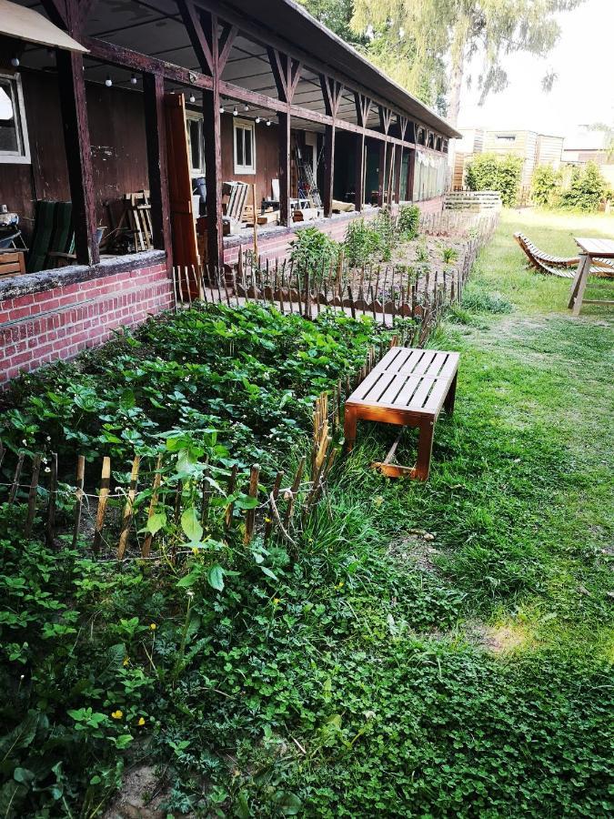Gaestehaus Maria Rast Suderburg Buitenkant foto